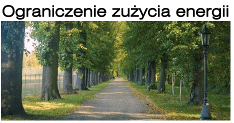 Nagłówek akapitu mówiącego o ograniczeniach zużycia energii